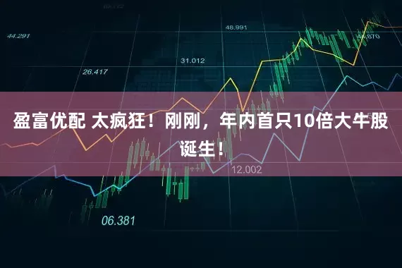 盈富优配 太疯狂！刚刚，年内首只10倍大牛股诞生！
