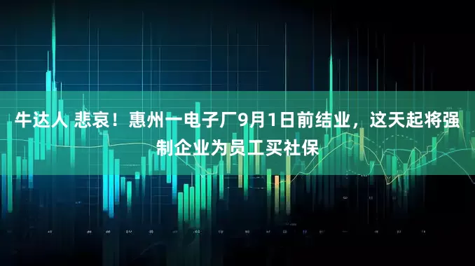 牛达人 悲哀！惠州一电子厂9月1日前结业，这天起将强制企业为员工买社保
