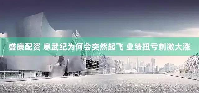 盛康配资 寒武纪为何会突然起飞 业绩扭亏刺激大涨