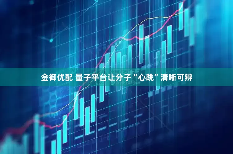 金御优配 量子平台让分子“心跳”清晰可辨