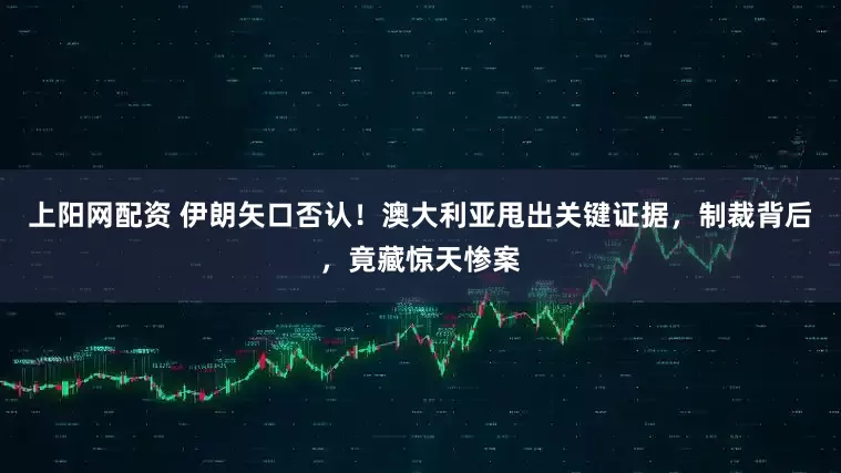上阳网配资 伊朗矢口否认！澳大利亚甩出关键证据，制裁背后，竟藏惊天惨案