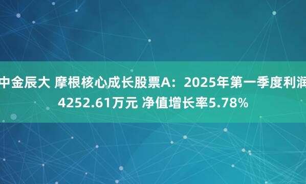 中金辰大 摩根核心成长股票A：2025年第一季度利润4252.61万元 净值增长率5.78%