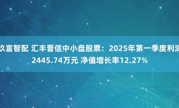 玖富智配 汇丰晋信中小盘股票：2025年第一季度利润2445.74万元 净值增长率12.27%