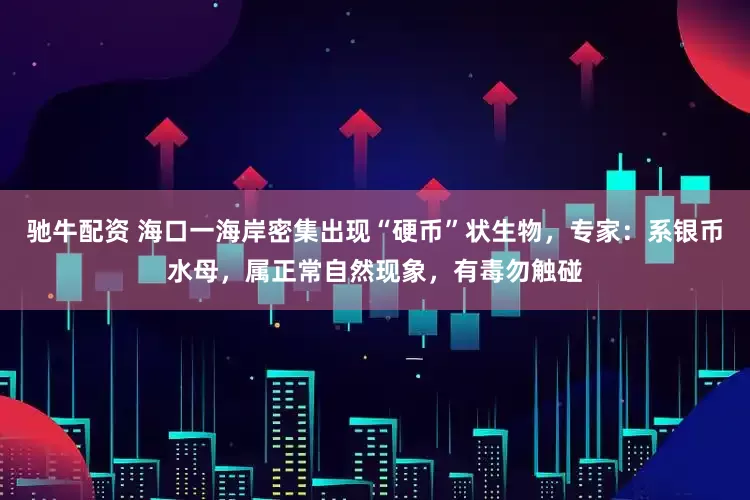 驰牛配资 海口一海岸密集出现“硬币”状生物，专家：系银币水母，属正常自然现象，有毒勿触碰
