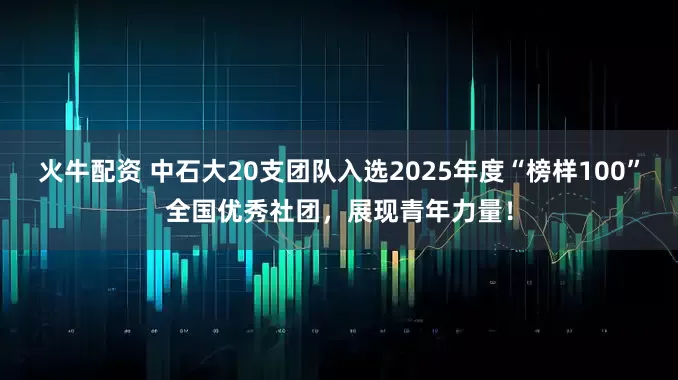 火牛配资 中石大20支团队入选2025年度“榜样100”全国优秀社团，展现青年力量！