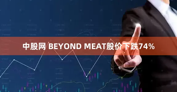 中股网 BEYOND MEAT股价下跌74%
