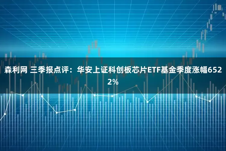 森利网 三季报点评：华安上证科创板芯片ETF基金季度涨幅6522%